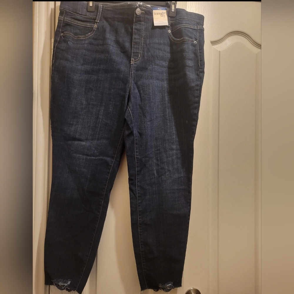 Terra and Sky Women's plus size distressed blue jeans size 1X